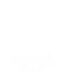 皮纳塔小马