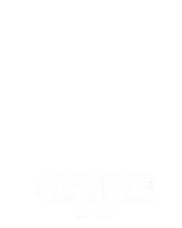 垃圾场国王