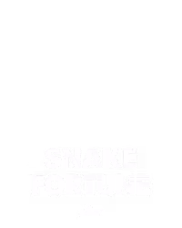 vendor_NINE9G_slots-SnakeFortune
