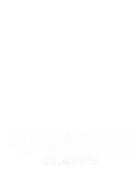 Aviabom