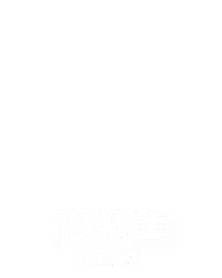 龙之战士