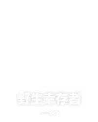 野生幸存者