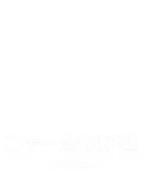 ⼆⼗⼀点 VIP E