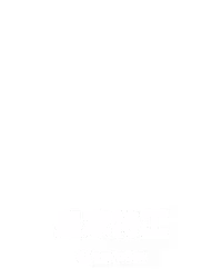 皇家特工