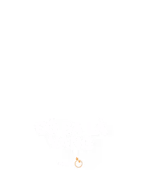 Cỏ ba lá vàng