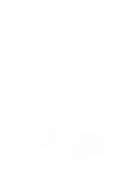 精英轮盘