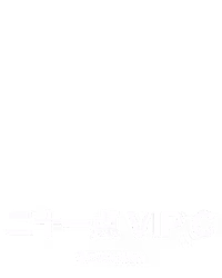 ⼆⼗⼀点 VIP C