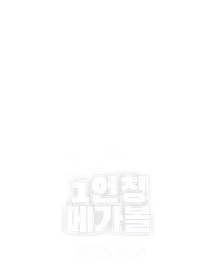 1인칭 메가볼