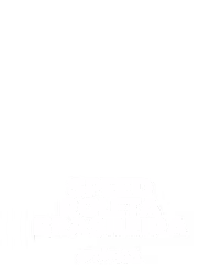 Speed Roleta Brasileira