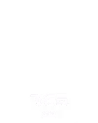 飞行员