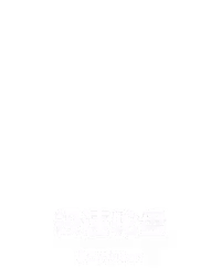极速轮盘