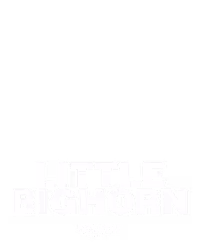 Little Bighorn