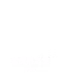 老虎机之王