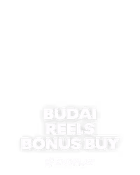 Budai Reels Bonus Buy