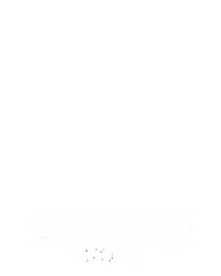 忍者vs武侍