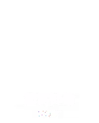 霹雳神偷