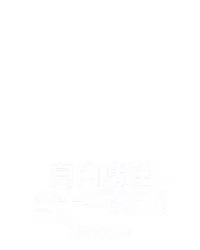 自由赌注二十一点 11