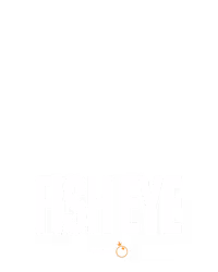 vendor_PP-Slot_vs10fisheye
