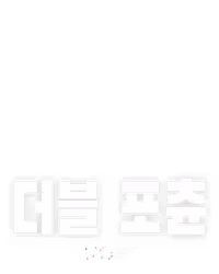 더블 포츈