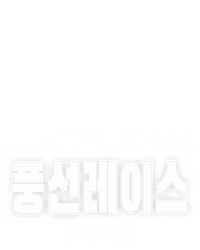 풍선레이스
