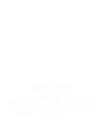 Cats and Cash