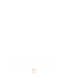 斯巴达之王