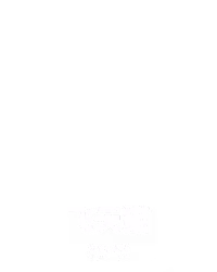 飞天猫