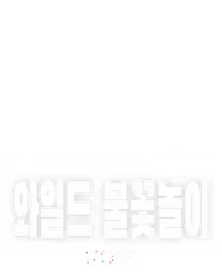 와일드 불꽃놀이