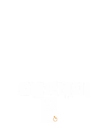 황금모래의 책