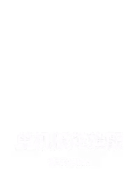 单机版花旗骰