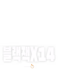 블랙잭 14