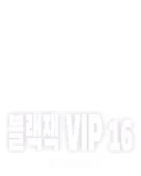 블랙잭 VIP 16