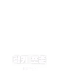 럭키 포춘