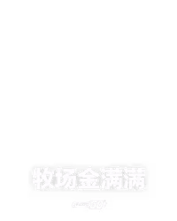 牧场金满满