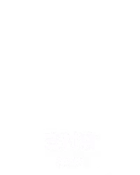 支付猪