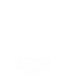 TNT滚落