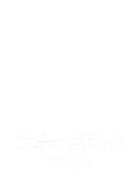 二十一点银 F