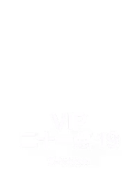 VIP 二十一点 19