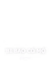 Bí Bảo Cổ Mộ
