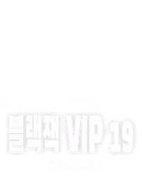 블랙잭 VIP 19