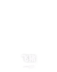 飞猪