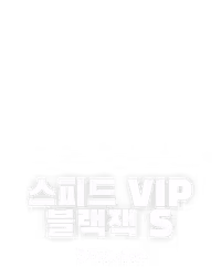 스피드 VIP 블랙잭 S