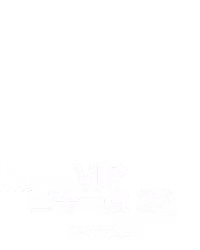 VIP 二十一点 22