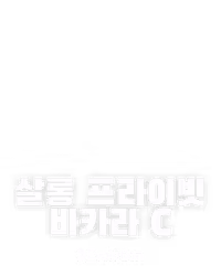 살롱 프라이빗 바카라 C