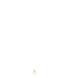 肥宝熊猫