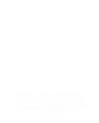 阿尔法老鹰