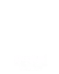 野牛奔腾