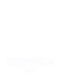 终极自动轮盘