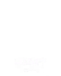 疯狂野牛