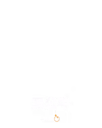 黑公牛